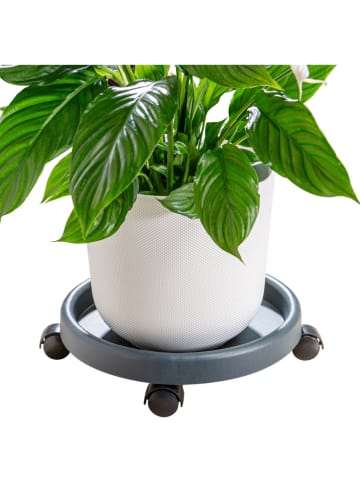 heine home 2er-Set: Pflanzständer in Anthrazit - (H)9 x Ø 34 cm