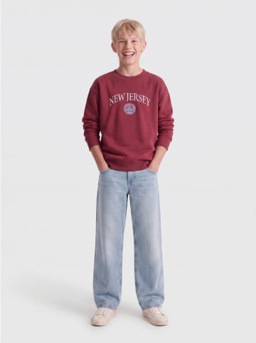 Bluza "Cole" w kolorze czerwonym