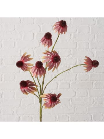 Boltze Kunstblume "Sonnenhüte" in Lila/ Grün - (H)95 cm