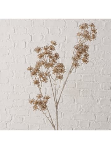 Boltze Dekoracyjna gałązka "Plant" w kolorze kremowym - wys. 11 cm