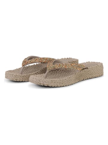 Ilse Jacobsen Zehentrenner in Beige