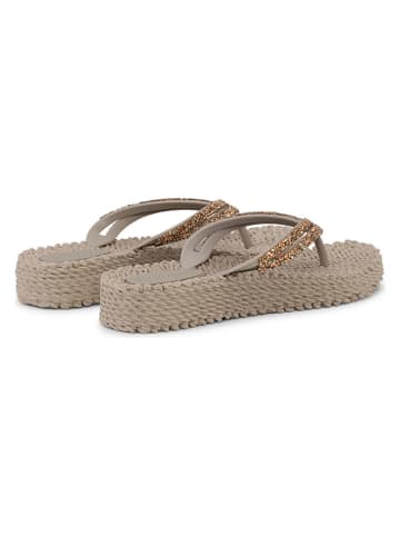 Ilse Jacobsen Zehentrenner in Beige