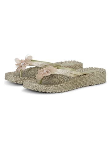 Ilse Jacobsen Zehentrenner in Beige