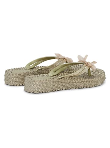 Ilse Jacobsen Zehentrenner in Beige
