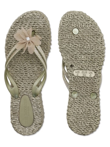 Ilse Jacobsen Zehentrenner in Beige