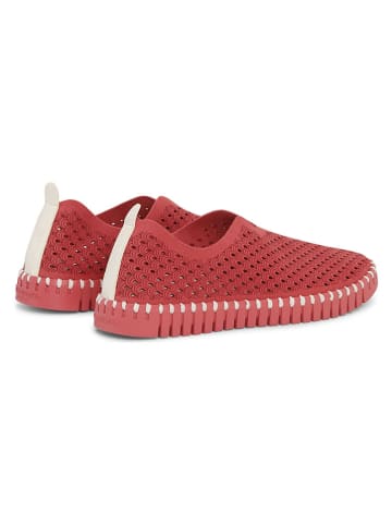 Ilse Jacobsen Slippersy w kolorze czerwonym