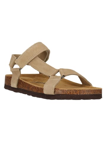 NOU Leder-Sandalen "Cyprian" in Beige