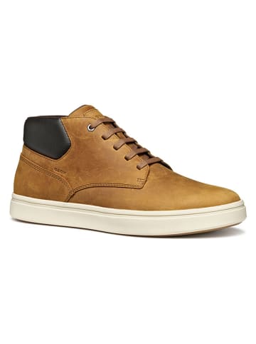 Geox Leder-Sneakers "Baltmoore" in Camel
