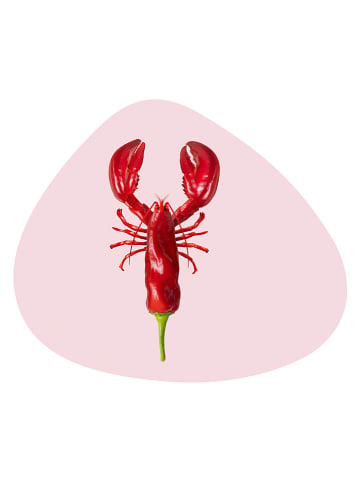 WD lifestyle Placemat "Lobster" lichtroze/rood - (L)43 x (B)36 cm