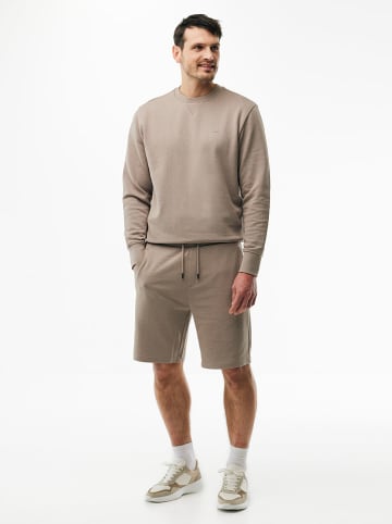 Mexx Sweatshorts "Andes" in Taupe