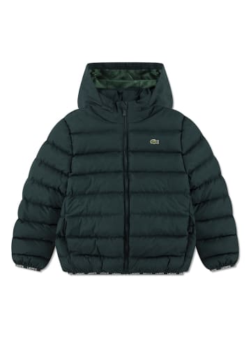 Lacoste Kids Steppjacke in Grün