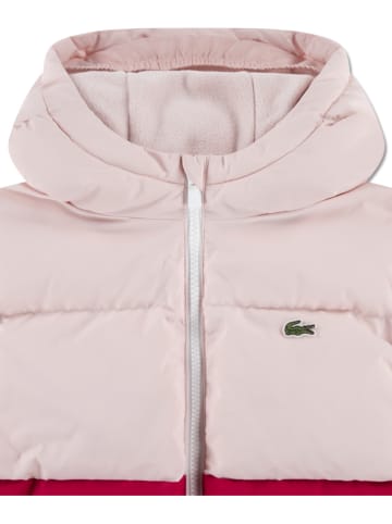 Lacoste Kids Winterjacke in Rosa