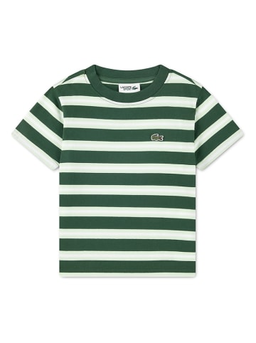 Lacoste Kids Shirt in Grün