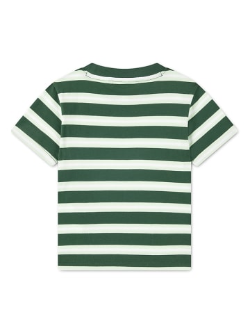 Lacoste Kids Koszulka w kolorze zielonym