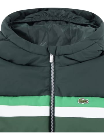 Lacoste Kids Kurtka zimowa w kolorze zielonym