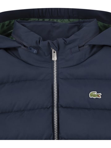 Lacoste Kids Steppjacke in Dunkelblau