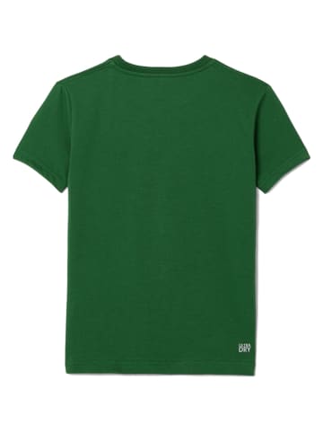 Lacoste Kids Koszulka w kolorze zielonym