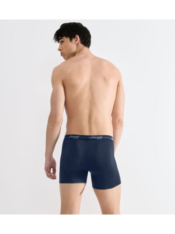 Sloggi 2er-Set: Boxershorts "Start" in Bordeaux/ Dunkelblau