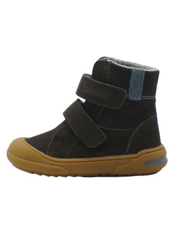 lamino Leder-Lauflernschuhe in Braun