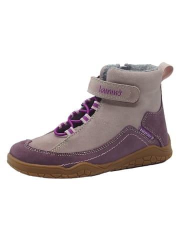 lamino Skórzane buty barefoot w kolorze fioletowym