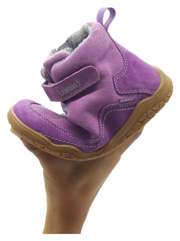 lamino Skórzane buty barefoot w kolorze fioletowym
