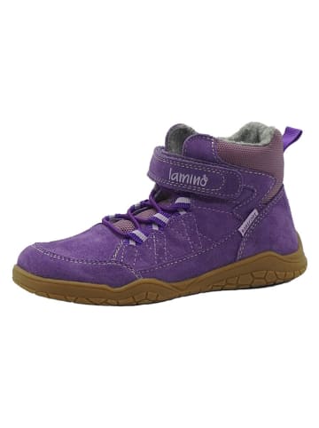 lamino Leder-Barfußschuhe in Lila