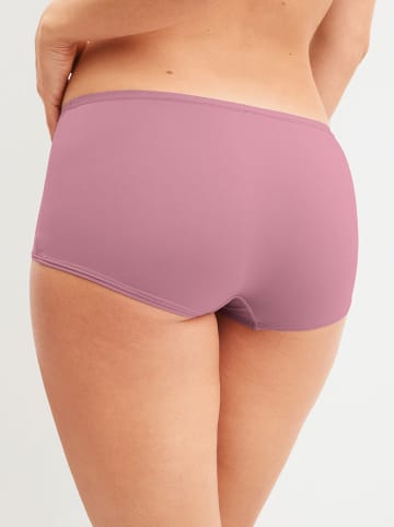 Calida Panty in Rosa