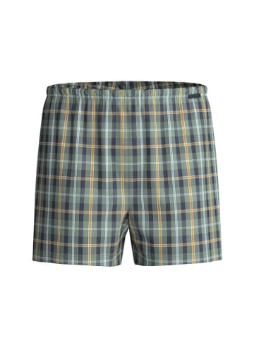 Calida Boxershorts in Grün