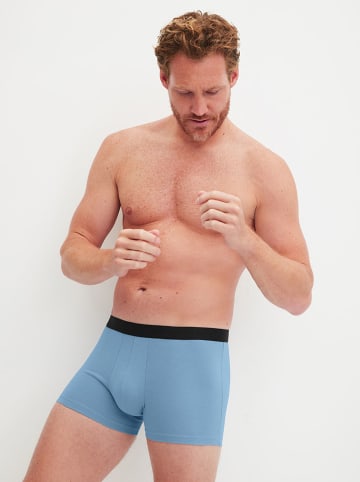 Calida Boxershorts in Hellblau