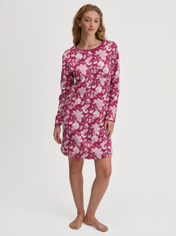 Calida Nachthemd in Pink