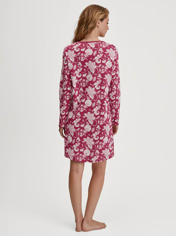 Calida Nachthemd in Pink