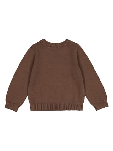 GAP Trui bruin