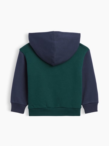 GAP Hoodie groen/donkerblauw