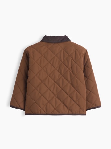 GAP Übergangsjacke in Hellbraun