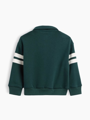 GAP Sweatshirt groen