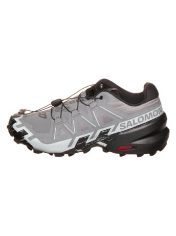 SALOMON Trailrunningschoenen "Speedcross 6 GTX" grijs