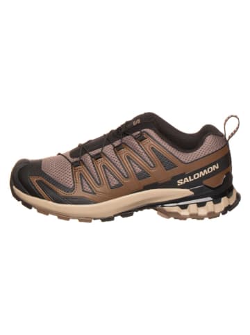 SALOMON Trailrunningschoenen "XA PRO 3D V9 GTX LIFELONG" lichtbruin