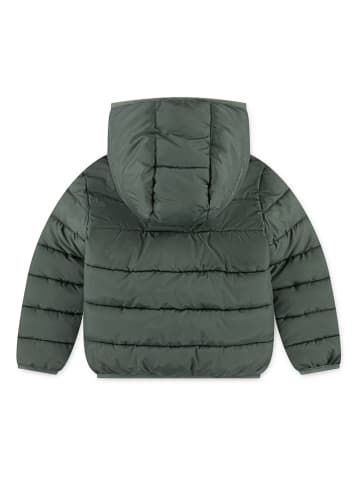 Levi's Kids Steppjacke in Grün