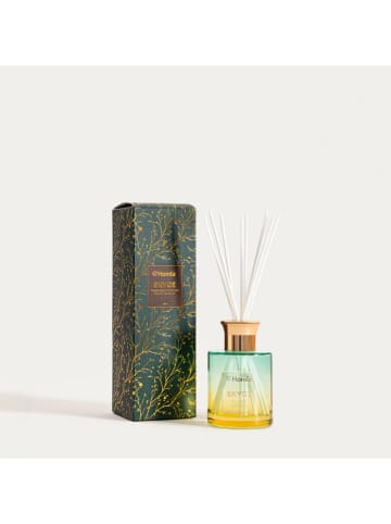 Homla Raumduft ''Skyge'' in Mint/ Gelb - 100 ml