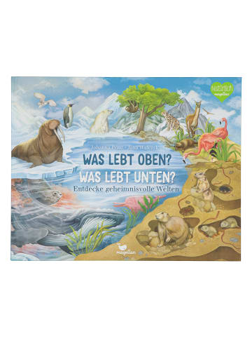 Magellan Kindersachbuch "Was lebt oben? Was lebt unten?"
