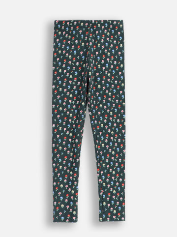 Coccodrillo Leggings in Grün