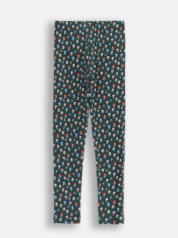 Coccodrillo Leggings in Grün