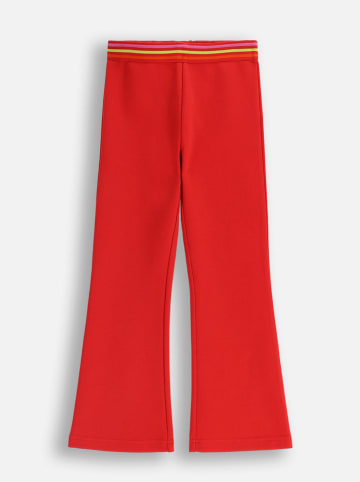 Coccodrillo Sweathose in Rot