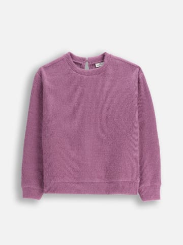 Coccodrillo Pullover in Lila