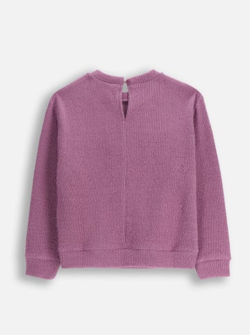 Coccodrillo Pullover in Lila