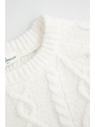 Coccodrillo Pullover in Creme