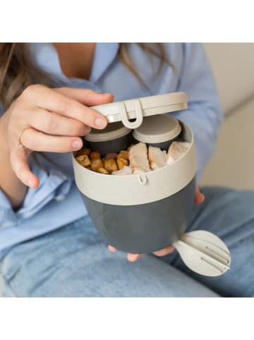 koziol Lunchbox in Grau - 850 ml