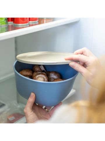 koziol Frischhaltedose in Hellblau - 2 l
