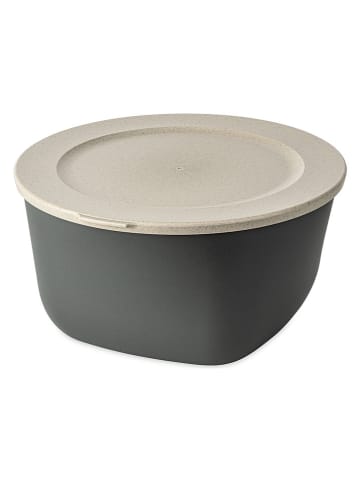 koziol Frischhaltedose in Grau - 4 l