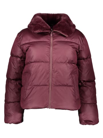 GAP Winterjas bordeaux